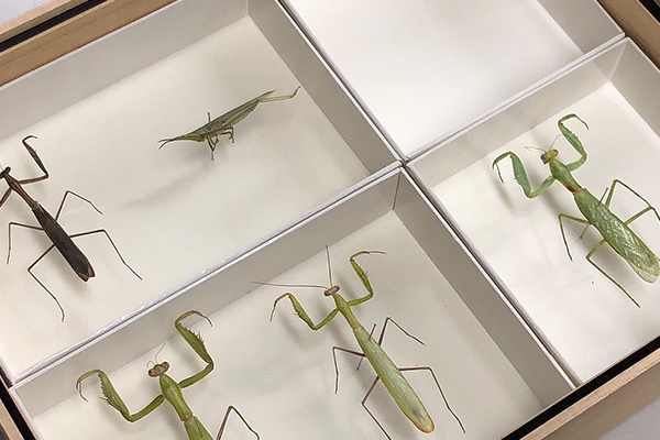 8973ab445123f6624dc2ba4908ffce